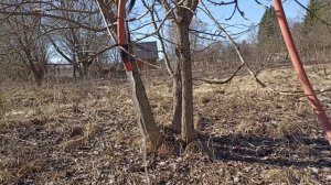 Открытие сезона 2025
22 марта