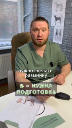 Привязал собаку к велосипеду и поехал.....СТОП!