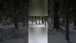 Эфир пройдёт 20.00 по Москве 23 марта 2025г.