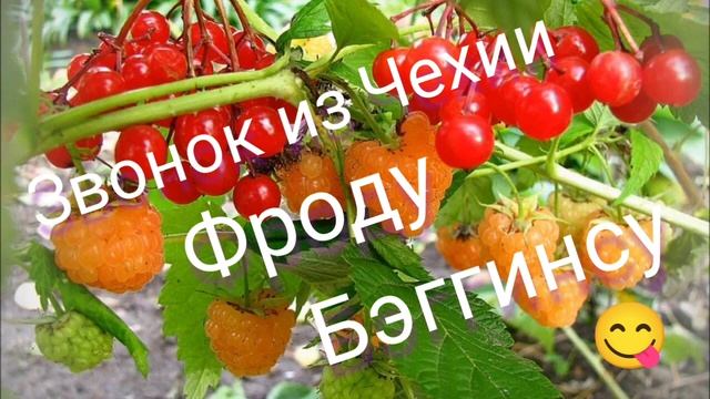 ОТКРОВЕНИЯ МОШЕННИКА ИЗ МЕГАПРОДУКТИВНОГО КОЛЛЦЕНТРА