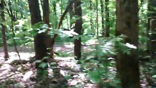 Майский лес смотреть онлайн