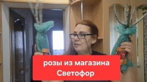 284🏠Купили дом в станице// Розы из магазина Светофор// Что внутри// Продолжаем зимовать.