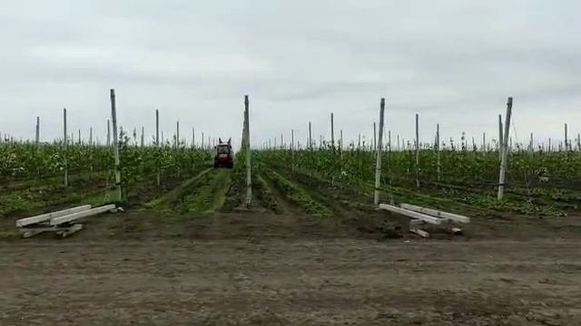 опрыскиватель в саду