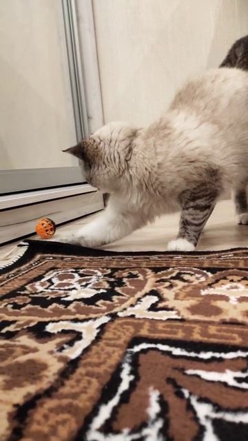 Сам себя веселю