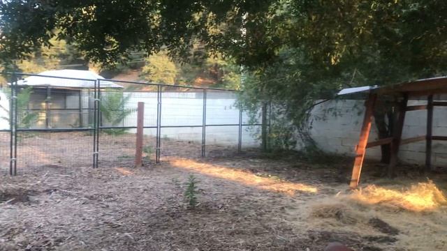 Foster area смотреть онлайн