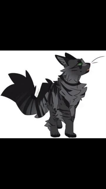 Заказик: Коты-Воители Ивушка