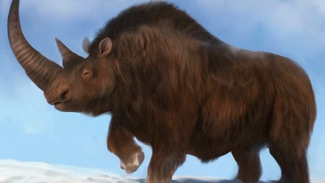 Woolly Rhinoceros Sound Effects 🦏 🔊 смотреть онлайн