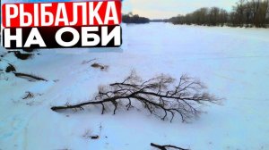 УЕХАЛ В КОНКРЕТНУЮ ГЛУШЬ ПОРЫБАЧИТЬ С НОЧЁВКОЙ И ЭТО БЫЛ ШОК! РЫБАЛКА НА ОБИ