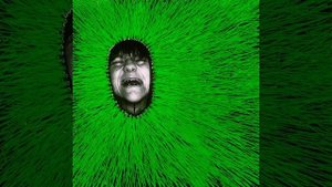 Return Me to the Pale Green Walls
