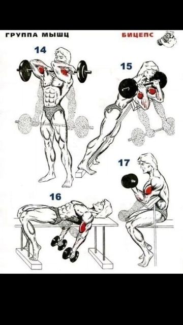 ПРОКАЧКА БИЦЕПСА К ЛЕТУ смотреть онлайн