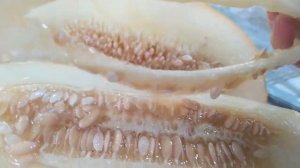 Дыня Дакаро, очень вкусная и ароматная!