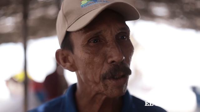 La miseria eterna de Tasajera | Crónicas | EL HERALDO смотреть онлайн