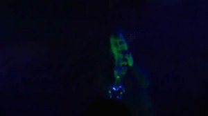 Korn - Narcissistic Cannibal Live In Boston, Ma (November 3rd, 2011) House of Blues HD