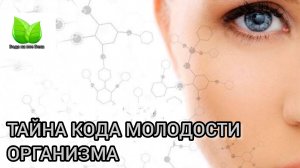 Тайна кода молодости организма. О.А.Бутакова
