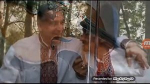 Весело по полю бегает кабанчик