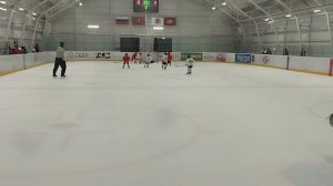 hockey coach vs red stars 17 гол гол