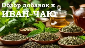 Добавки к иван-чаю, обзор самых популярных