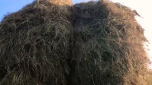 Самоделка с мотором от трактора  т-25 прёт как танк