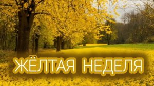 СП "РАДУГА 3" с Людмилой Краснопëровой/ отчет 3 "Жёлтой недели"/ уч. 25