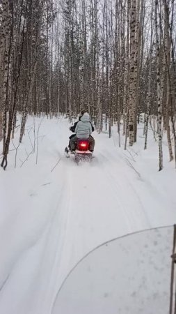 ГОНЯЕМ В ТАЙГЕ!