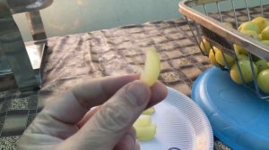 Уличная еда Индии. АМЛА