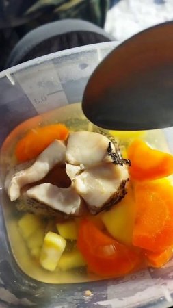 Уха на природе на озере