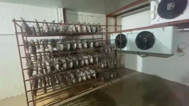 Как оснастить сушилку для рыбы? На примере одного промыслового предприятия я покажу данный процесс