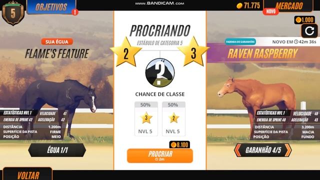 Rival Stars#03-O potro mais lindo de todos/DESKTOP VERSION смотреть онлайн