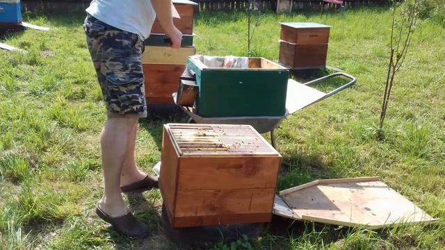 19 августа 2017г Второй отбор меда. Отводок 2017г. Карпатка. смотреть онлайн