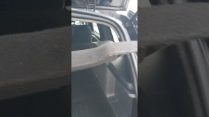 20250321_175245.mp4
