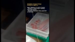 Тунец