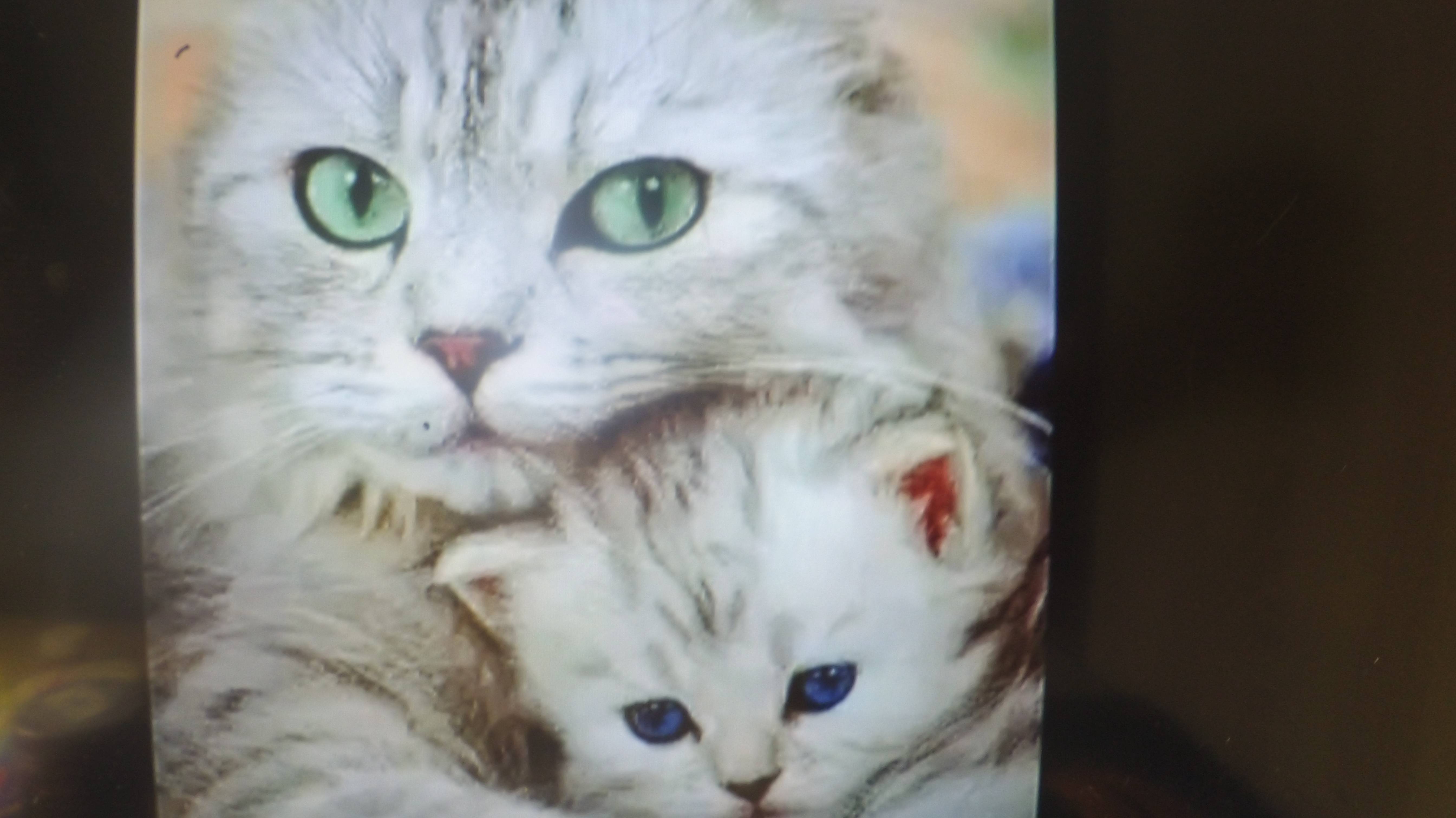 распаковка таба пончика o(*°▽°*)oヾ(≧▽≦*)o