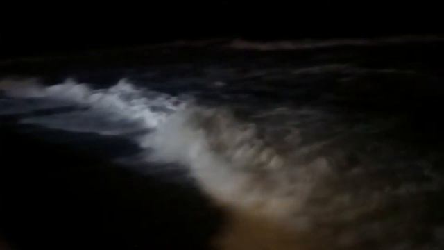 Море. Сочи. смотреть онлайн