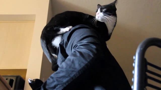 Stars - Hear 'N Aid [Extended Guitar Solo Cover] - A Ronnie James Dio Tribute смотреть онлайн