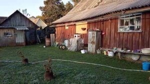 ДЕД МОРОЗ ПРИШЕЛ И НАХУЛИГАНИЛ. АРХИВ 20-Й ГОД.