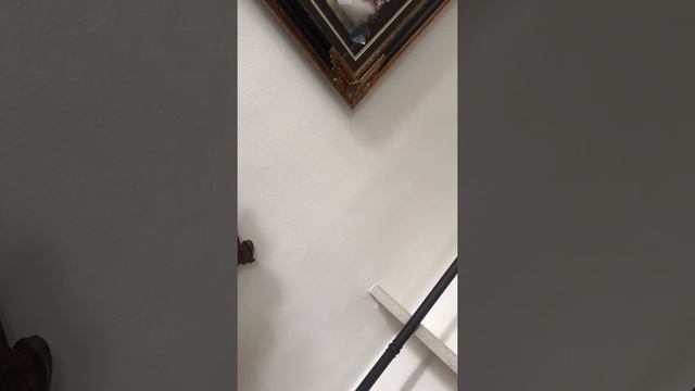 Andra Day Rise up cover by Jennise Jones смотреть онлайн