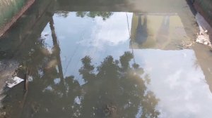 Такое вы еще не видели 🙈🙈 Магазины сантехники в Индии.