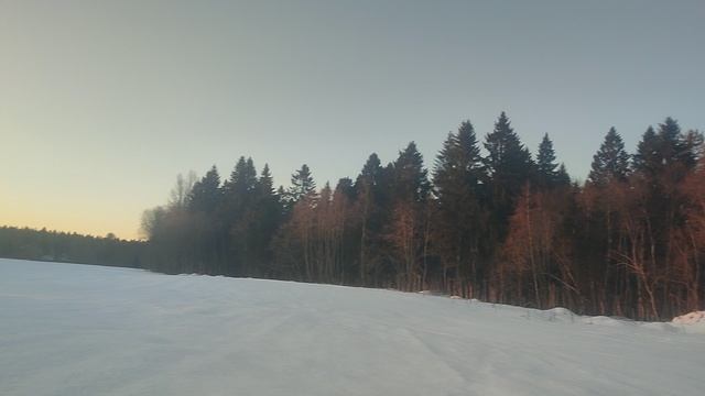 Субботнее утро🐾 смотреть онлайн