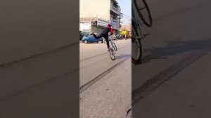 Ali King 95