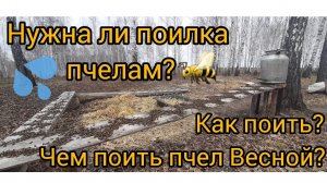 Поилка для пчел, с подсоленной водой! Как приучить пчел к поилке? Самая простая и удачная поилка.!