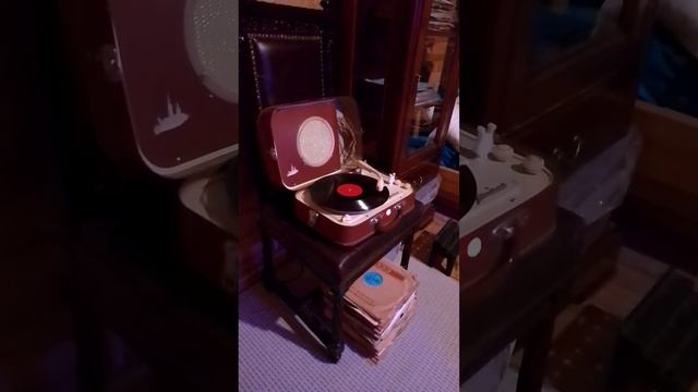 В ЗАЩИТУ МИРА ( 9 мая 2024 День Победы)