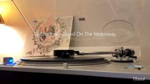Dj Shadow - Blood On The Motorway