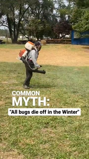 Keep up with your treatments year round to prevent overwintering infestations! #pestcontrol  #bugs