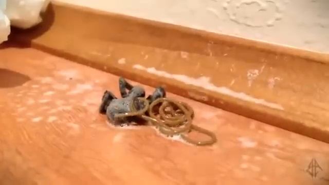 Странные_существа_2__что_живет_в_пауках151 смотреть онлайн