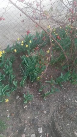 VID_20250322_164759