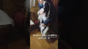 Встреча...)))