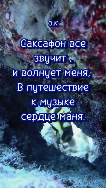 #Мысли в слух 💞💯 смотреть онлайн