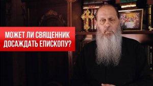 Может ли священник досаждать епископу?