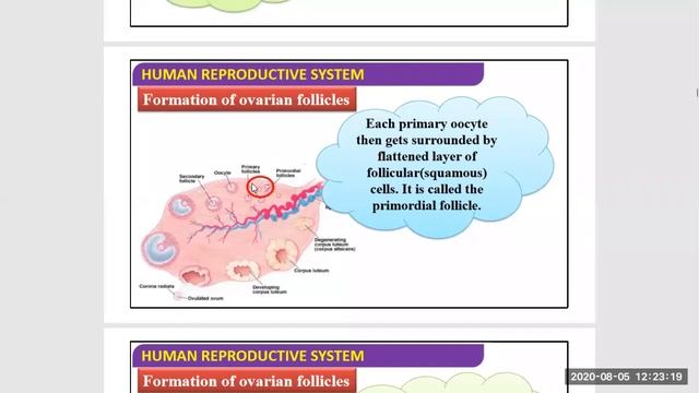 12Th sci human reproduction 2020