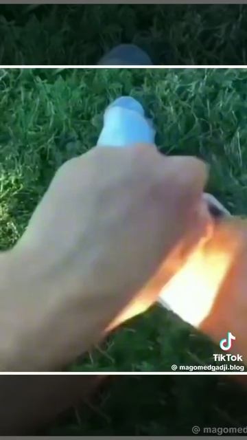 мемы